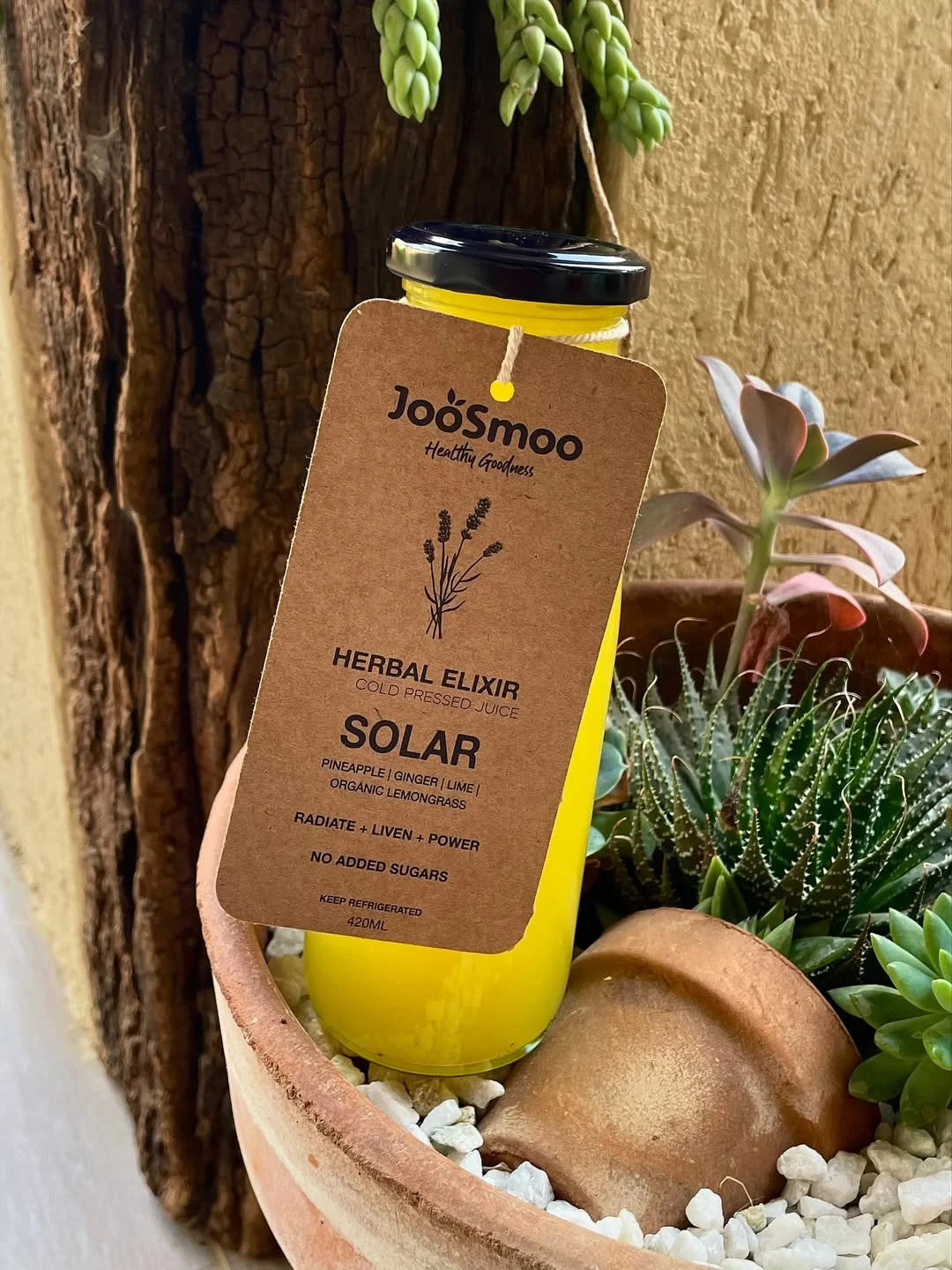 Solar juice with botanical ingredients